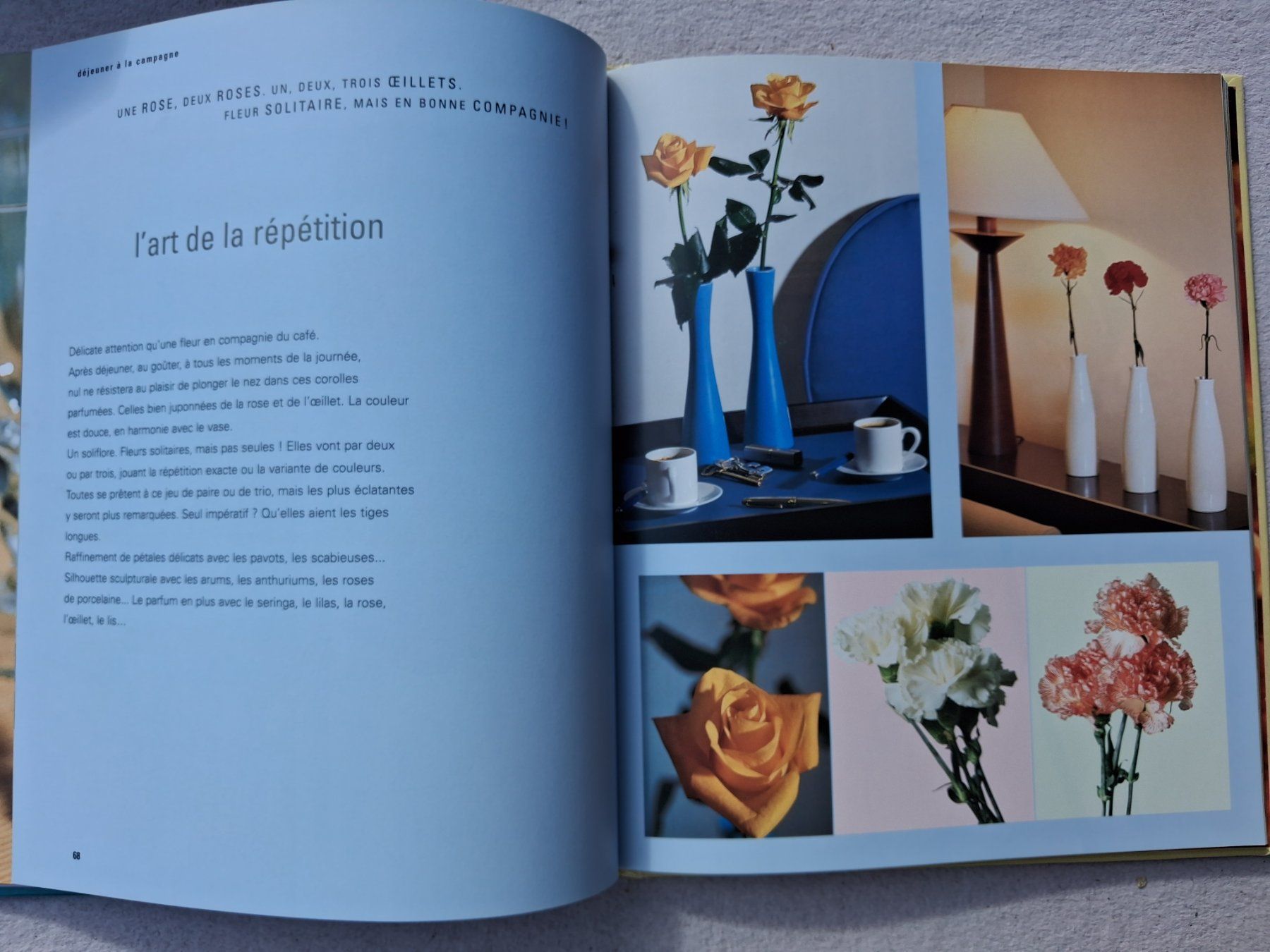 Libri: Décors de fleurs pour la maison – Usato da Fully venduto da Minouchka 4