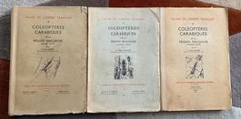 Coléoptères carabiques  malgaches 1946