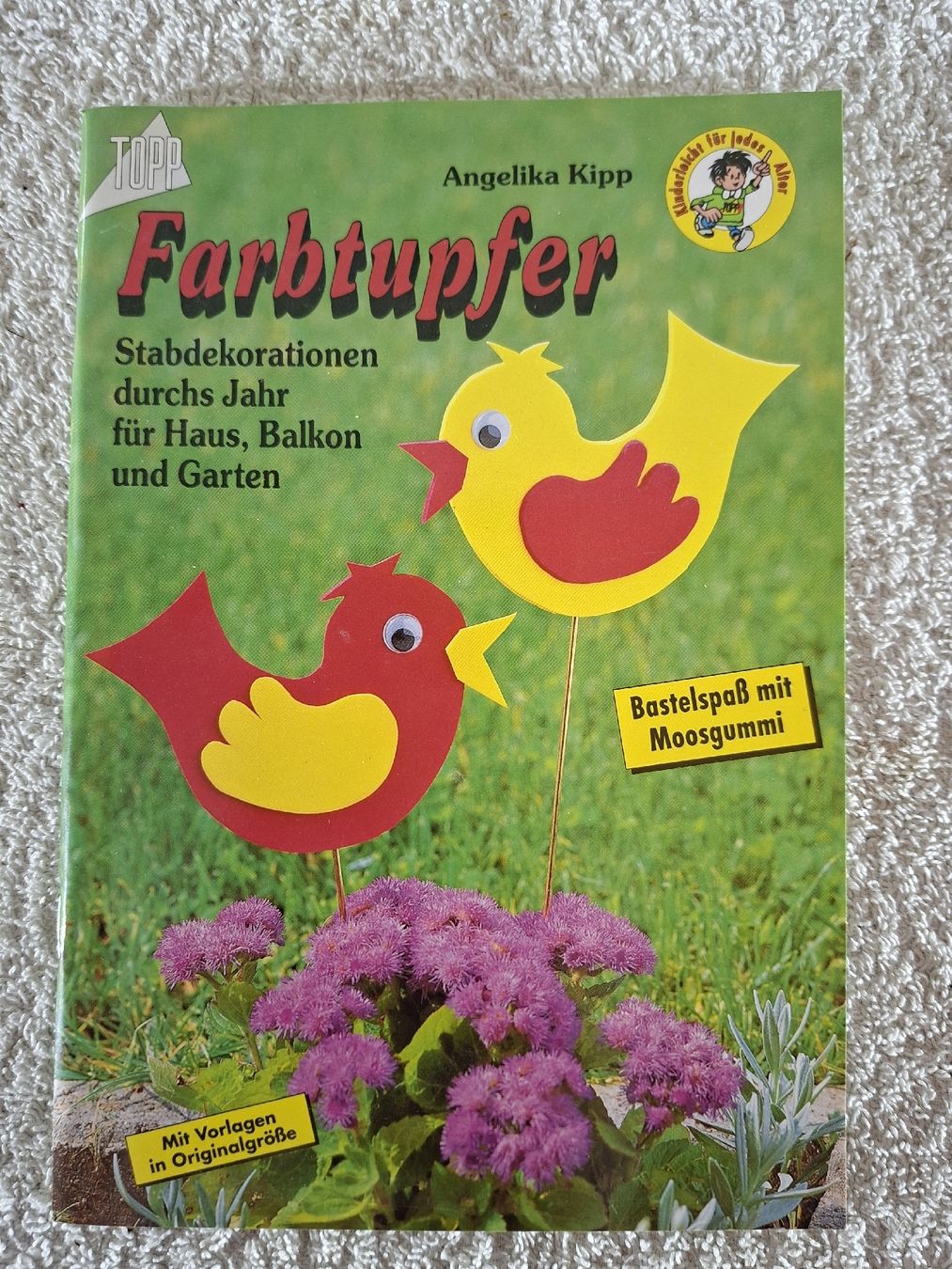 Libri: 5 Bastelbüchlein für Holz – Usato da Grindelwald venduto da carro5 9