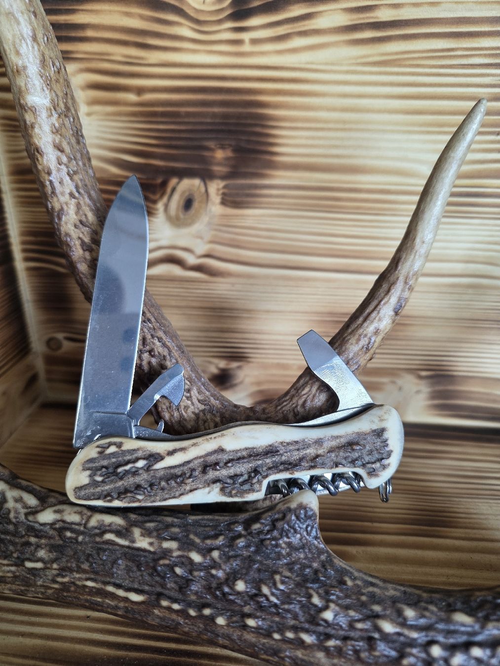 Victorinox Couteaux de poche: Victorinox Sackmesser mit Horngriff – Neuf (Voir description) à Trimmis par leonidas3 1
