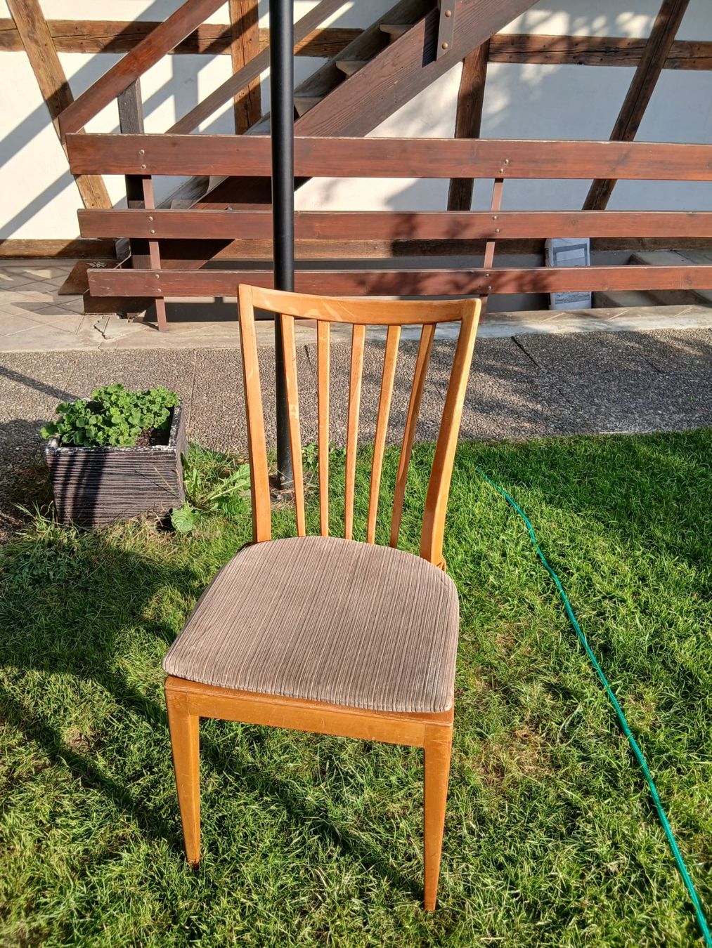Stühle: 6 Holzstühle mit Sitzkissen – Gebraucht aus Täuffelen von maniac01