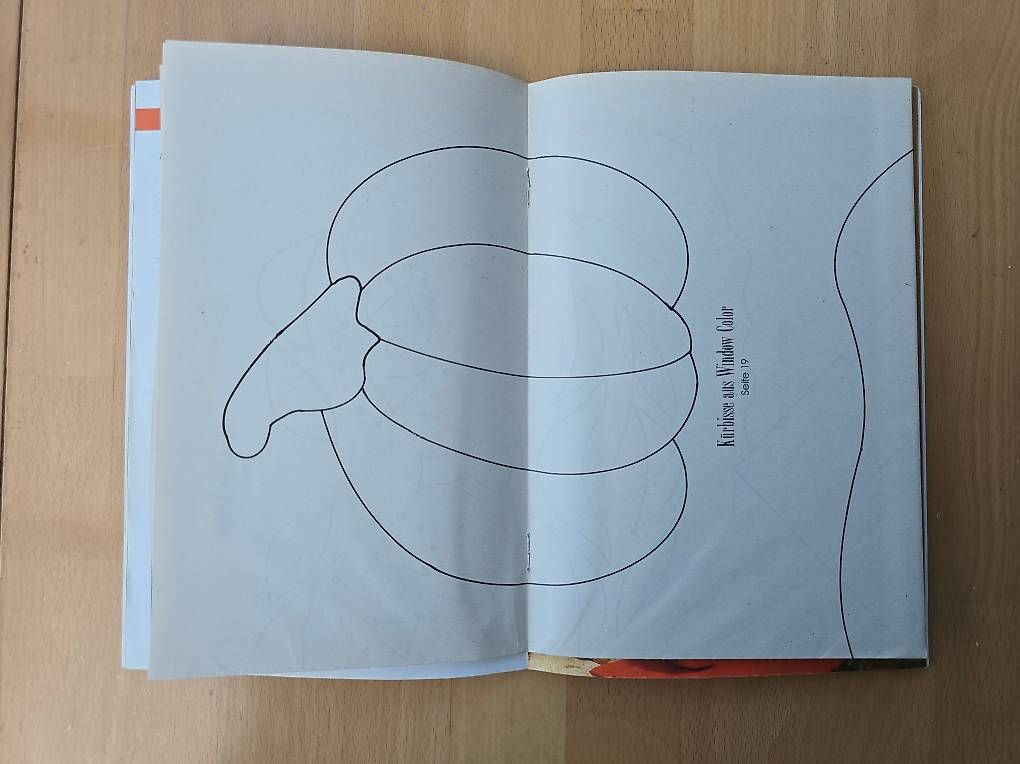 Livres: Herbstlich dekorieren, Neu – Neuf (Voir description) à Knutwil par Geschenksatelier 1