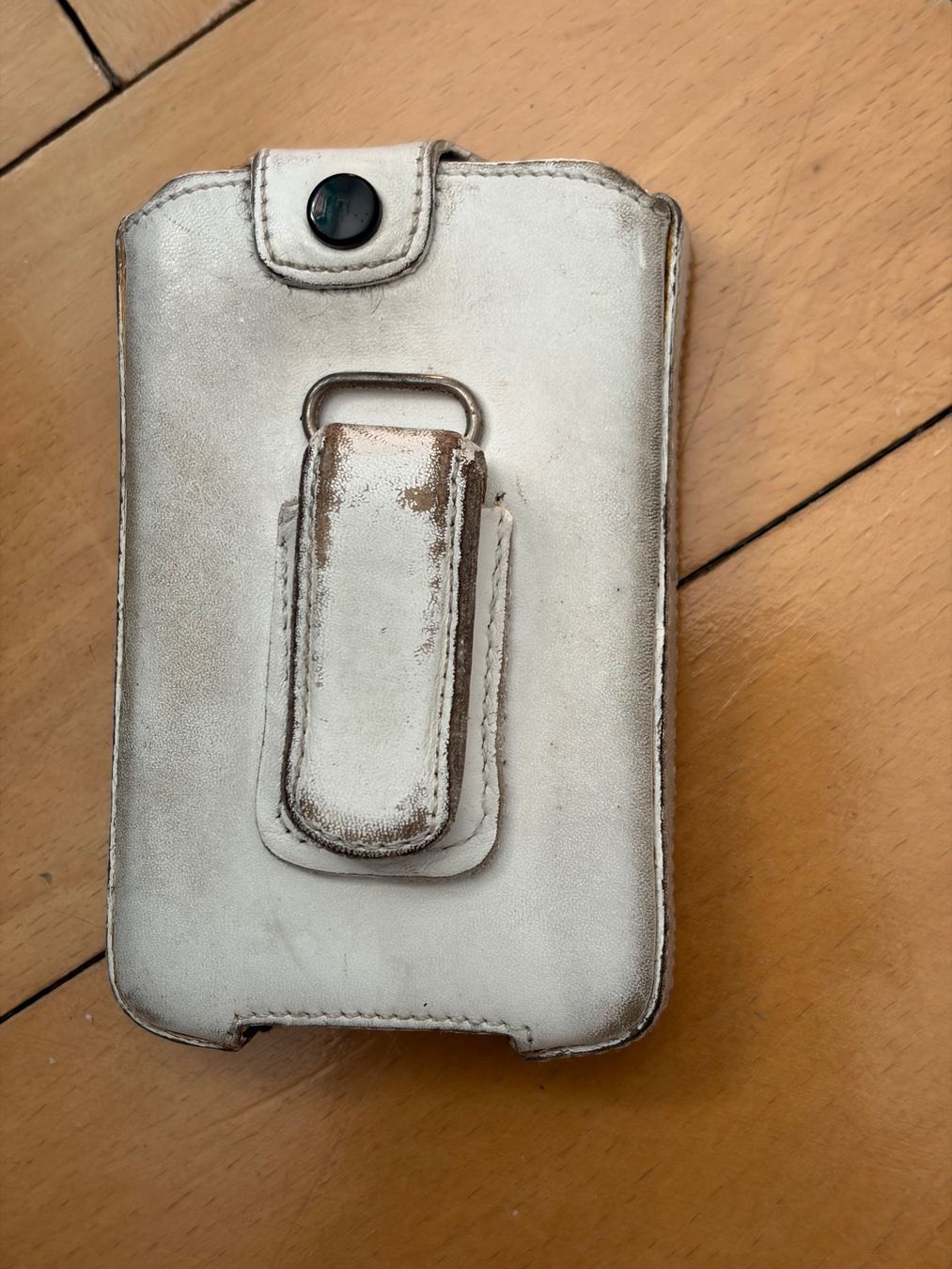 Apple Lettore multimediale portatile: Apple iPod – Usato da Basel venduto da frepet 4