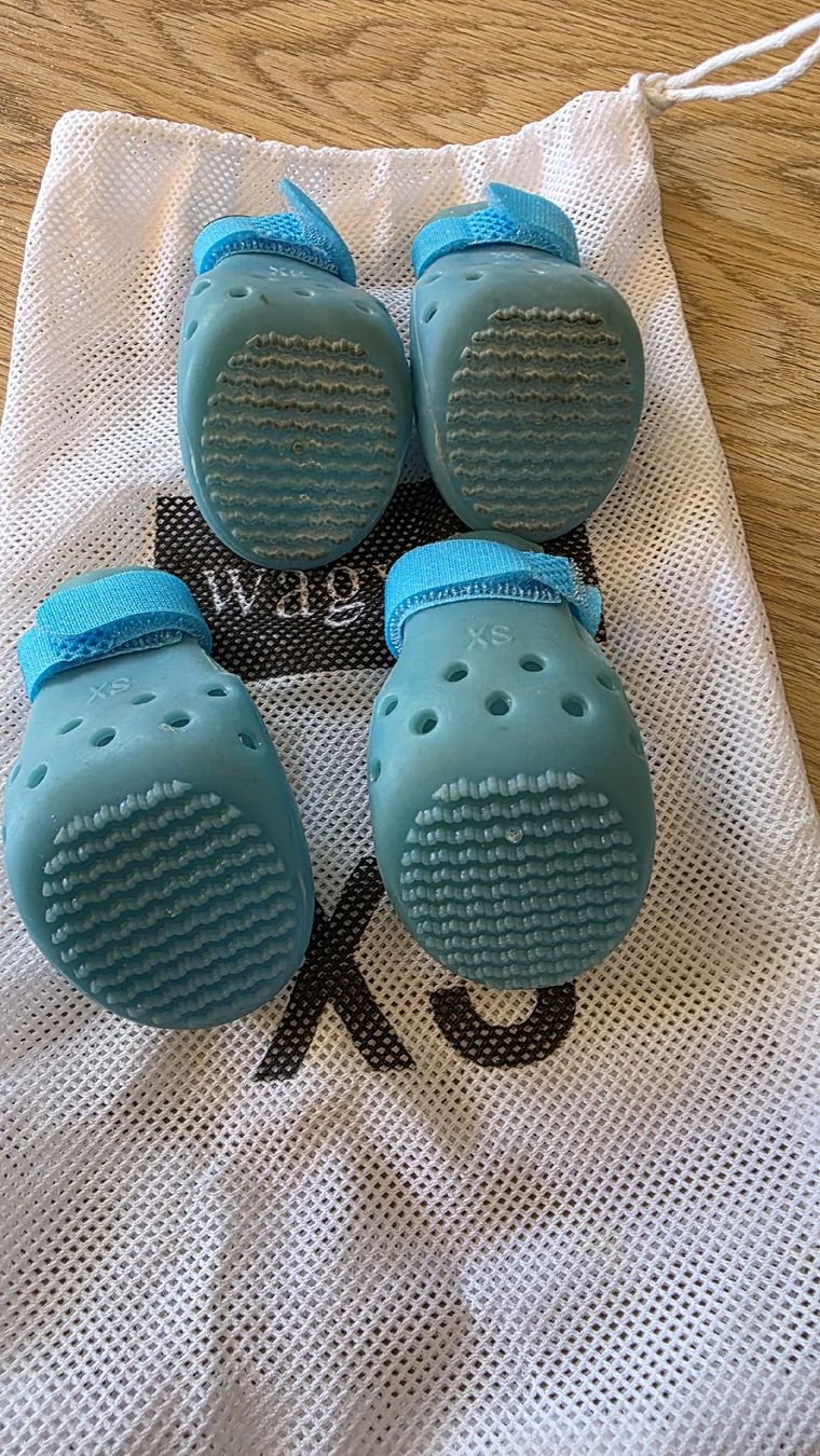 Abbigliamento: Wagwear Hundeschuhe "Crocs" – Usato da Aesch BL venduto da sims04 1