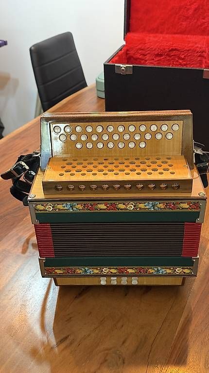 Strumenti musicali: Schwyzerörgeli – Usato da Balgach venduto da Ammare 1