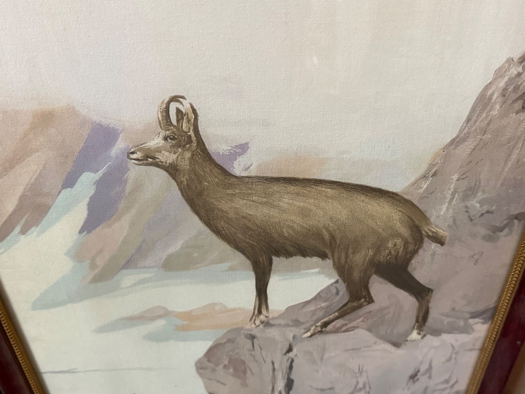 Grafica & Litografie: Reh / Gemse Gämse 2 grosse Landschaftslithos – Usato da Bern venduto da Jwpm66 3