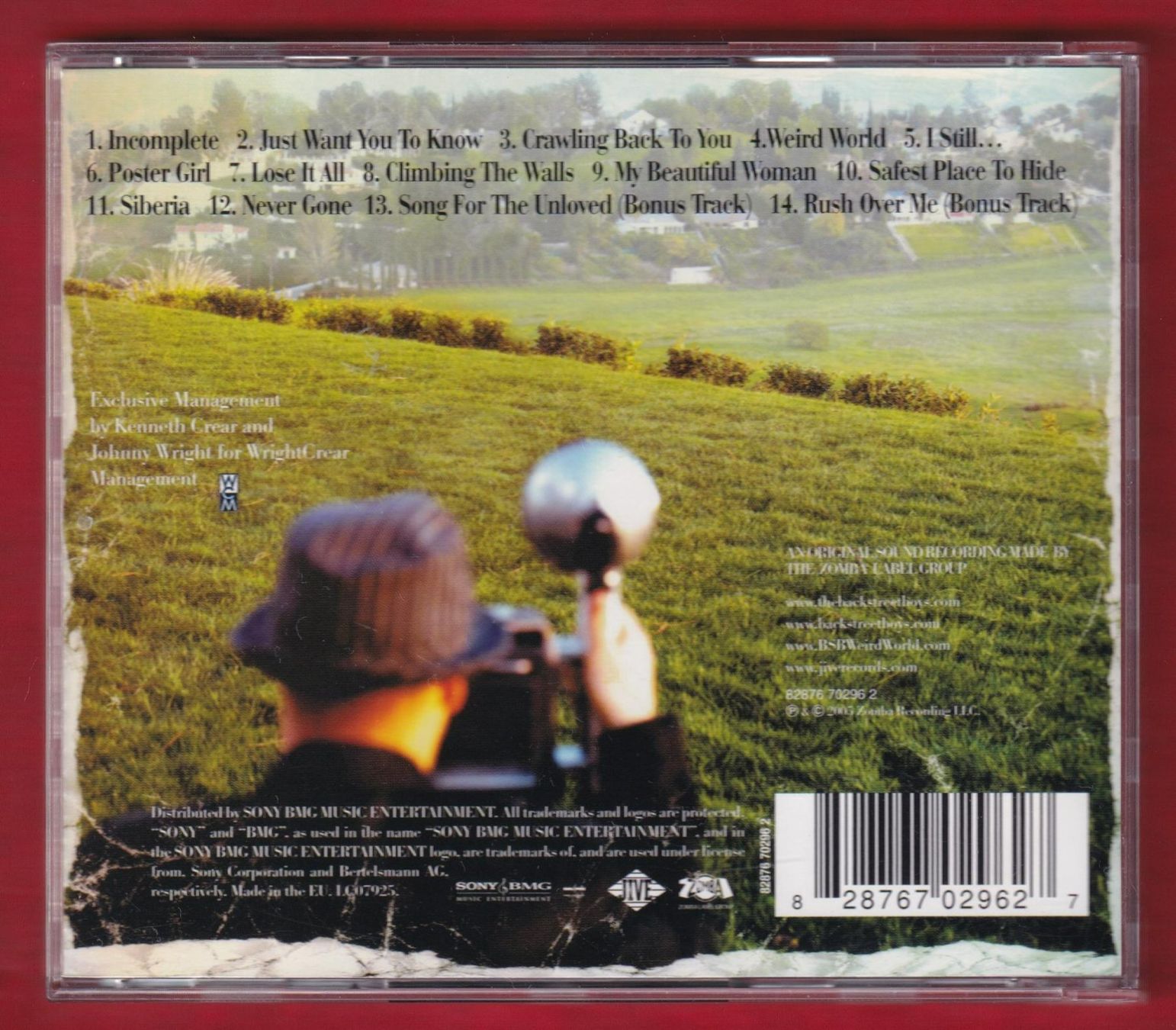 CD: Backstreet Boys - Never Gone (CD) – Usato da Zürich venduto da Pfluftl2000 1