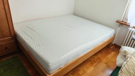 Massivholz Bett 160x200cm komplett: Buche, Rost & Matratze
