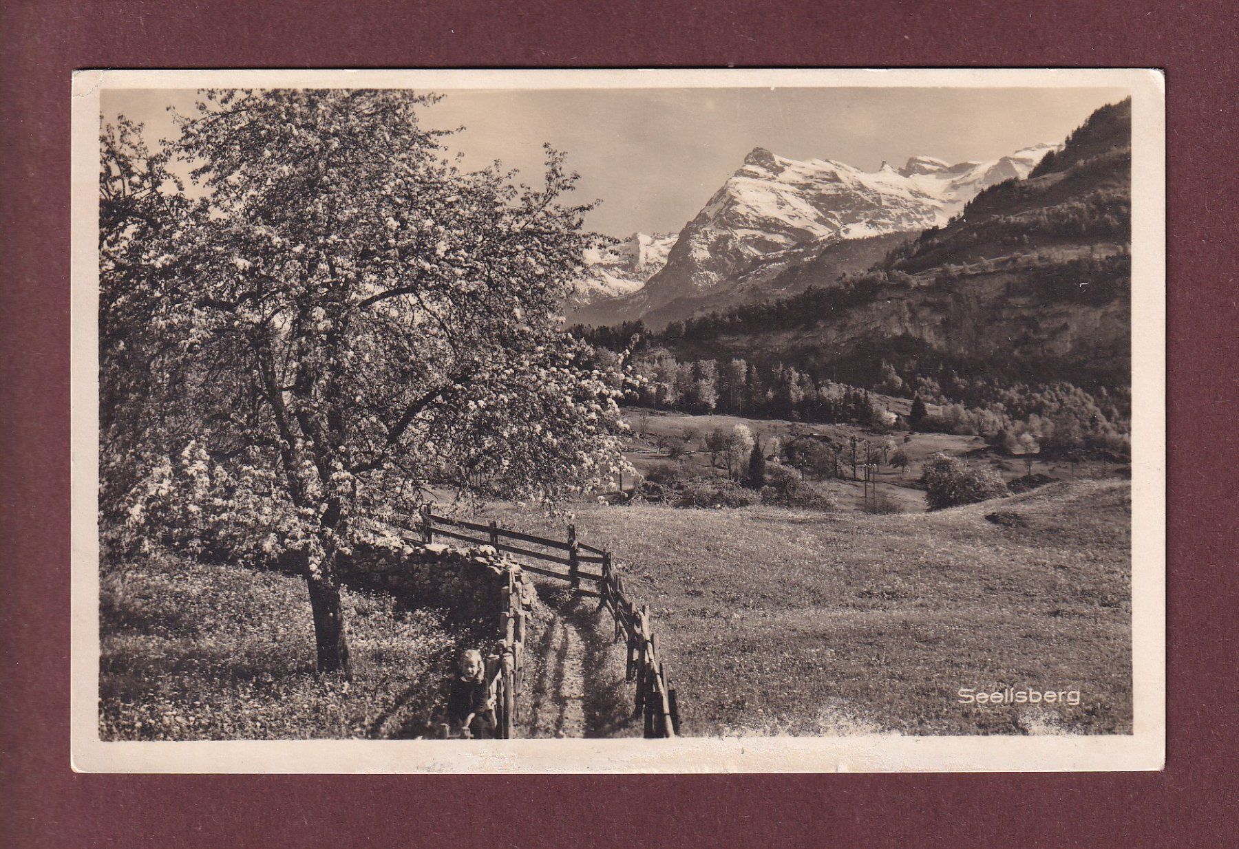 Cartes postales: SEELISBERG - 1921 – D'occasion à Pully par nicecards