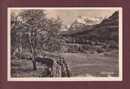 SEELISBERG - 1921