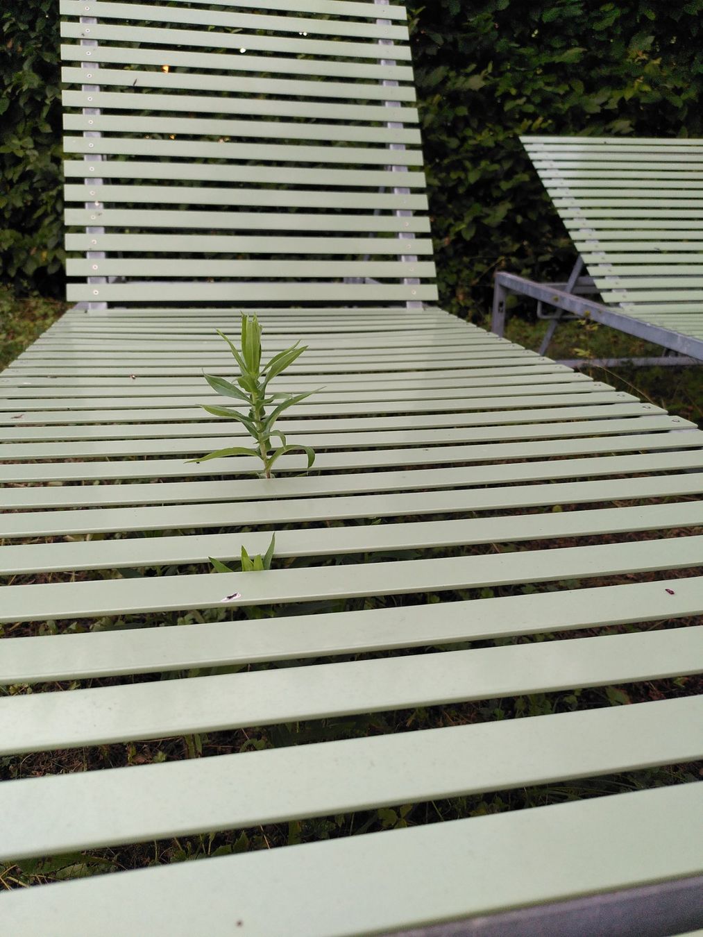 Sedie a sdraio: Liegestuhl aus rostfreiem Metall – Usato da Kleinandelfingen venduto da flora2011 4