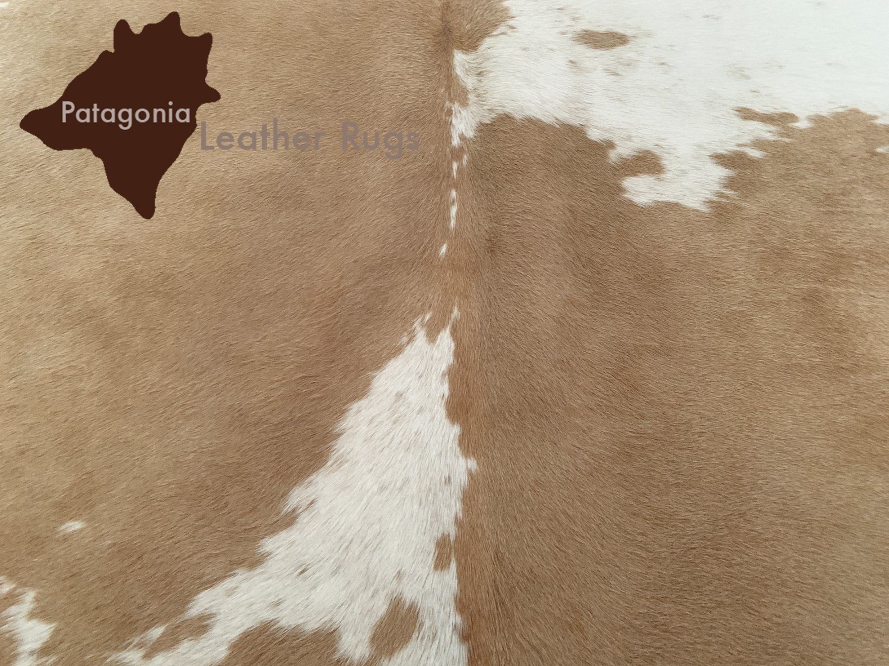 Tappeti: echtes Kuhfell Teppich Beige/White – Nuovo e nell'imballaggio originale da Arbedo venduto da patagonialeatherrugs 1