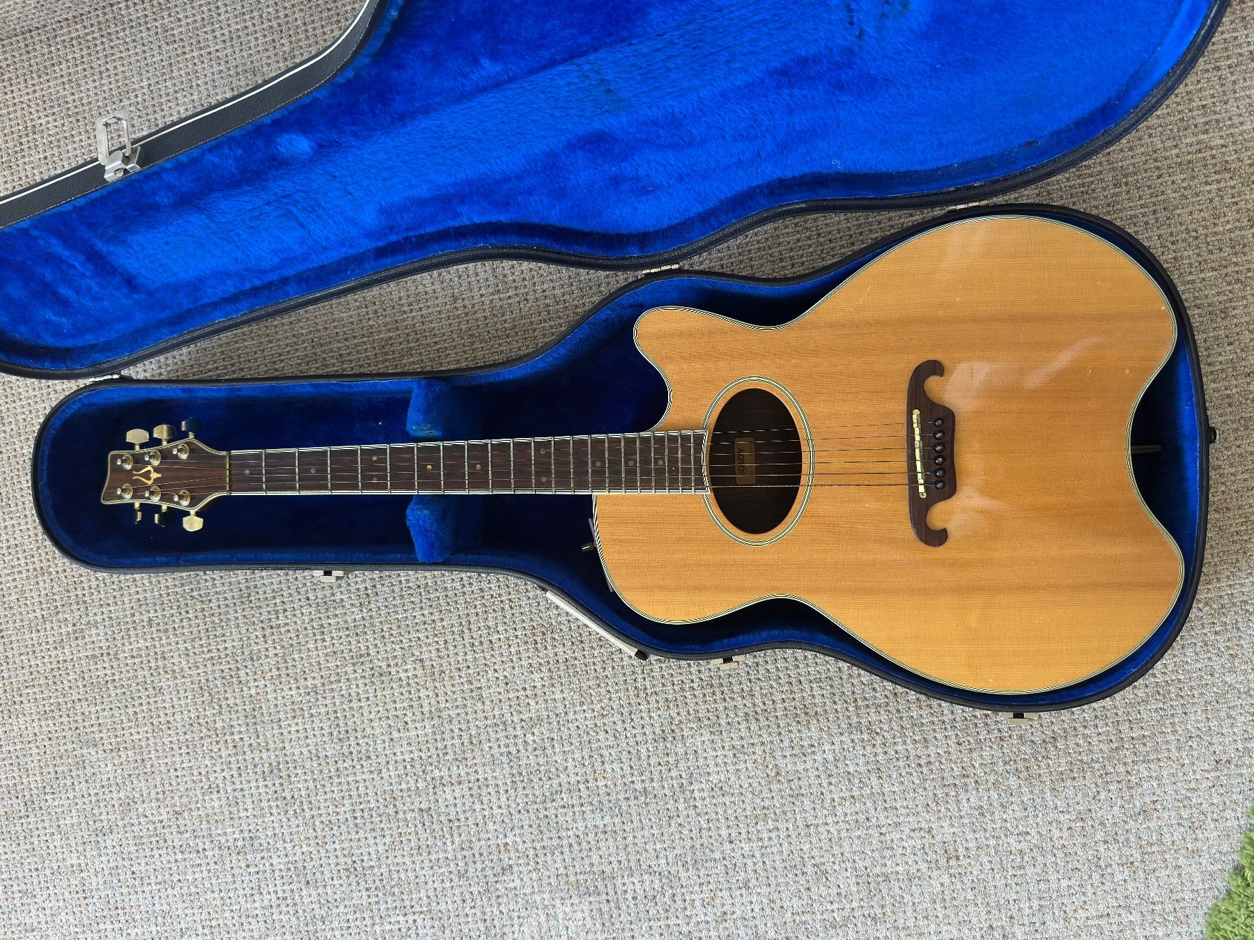Strumenti musicali: Gitarre Daion "The 81 - Gazelle" – Usato da Hittnau venduto da ShiTRabBbit 1