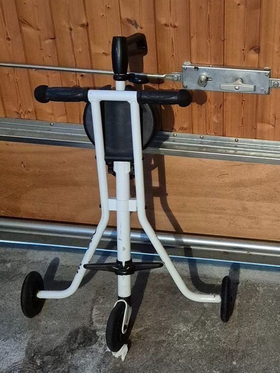 Veicoli per bambini: Micro Trike von Micro Mobility – Usato da Liebefeld venduto da DekoBrokland 3