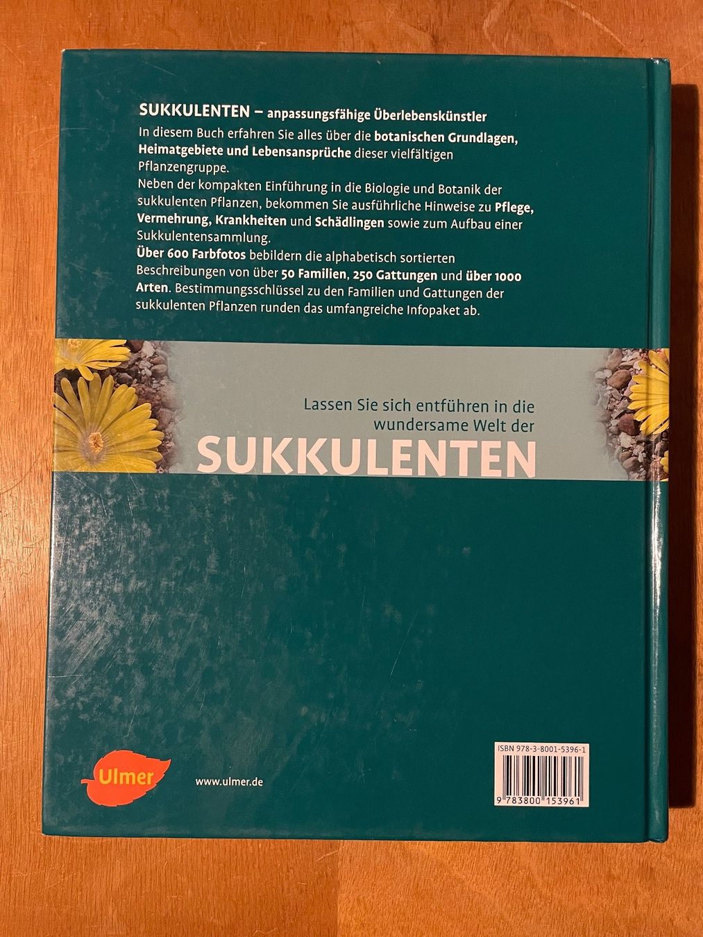 Libri: Urs Eggli: Sukkulenten, Ulmer Verlag – Usato da Zürich venduto da WWehrle 2
