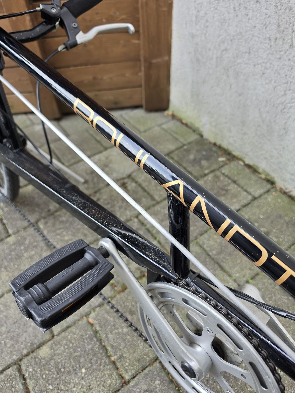 Biciclette: ROLAND Liegevelo – Usato da Oberriet SG venduto da ALLSTAR86 2