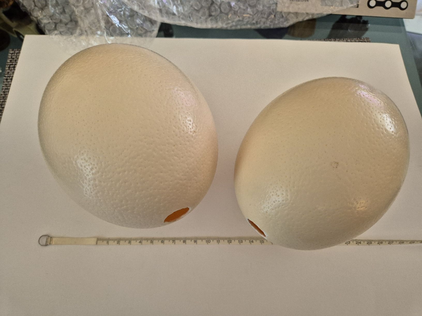 Tutte le decorazioni: Straussen Ei 2 Stück Zustand Eier Basteln Ostern – Usato da Russikon venduto da eunicetungol 2