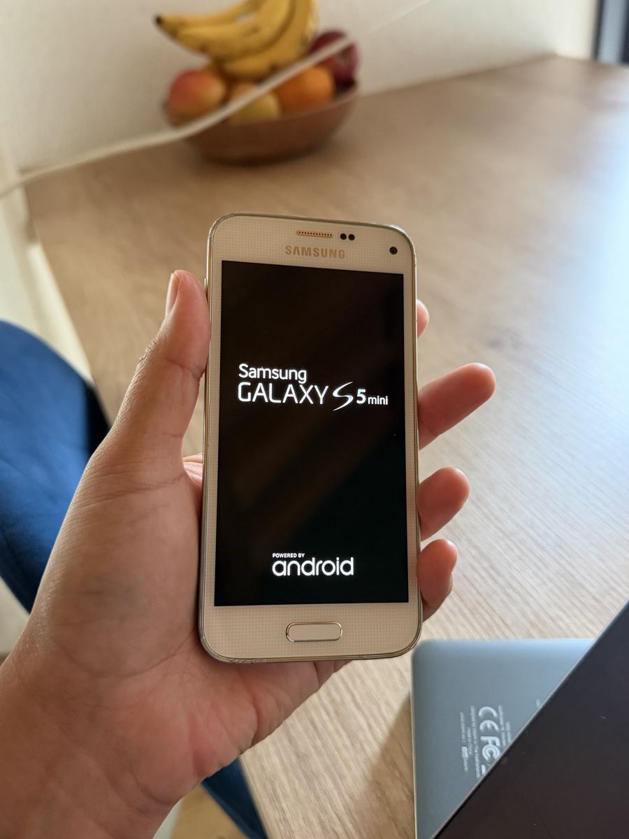 Samsung Handys / Smartphones: Galaxy S mini – Gebraucht aus Sorens von purpureta