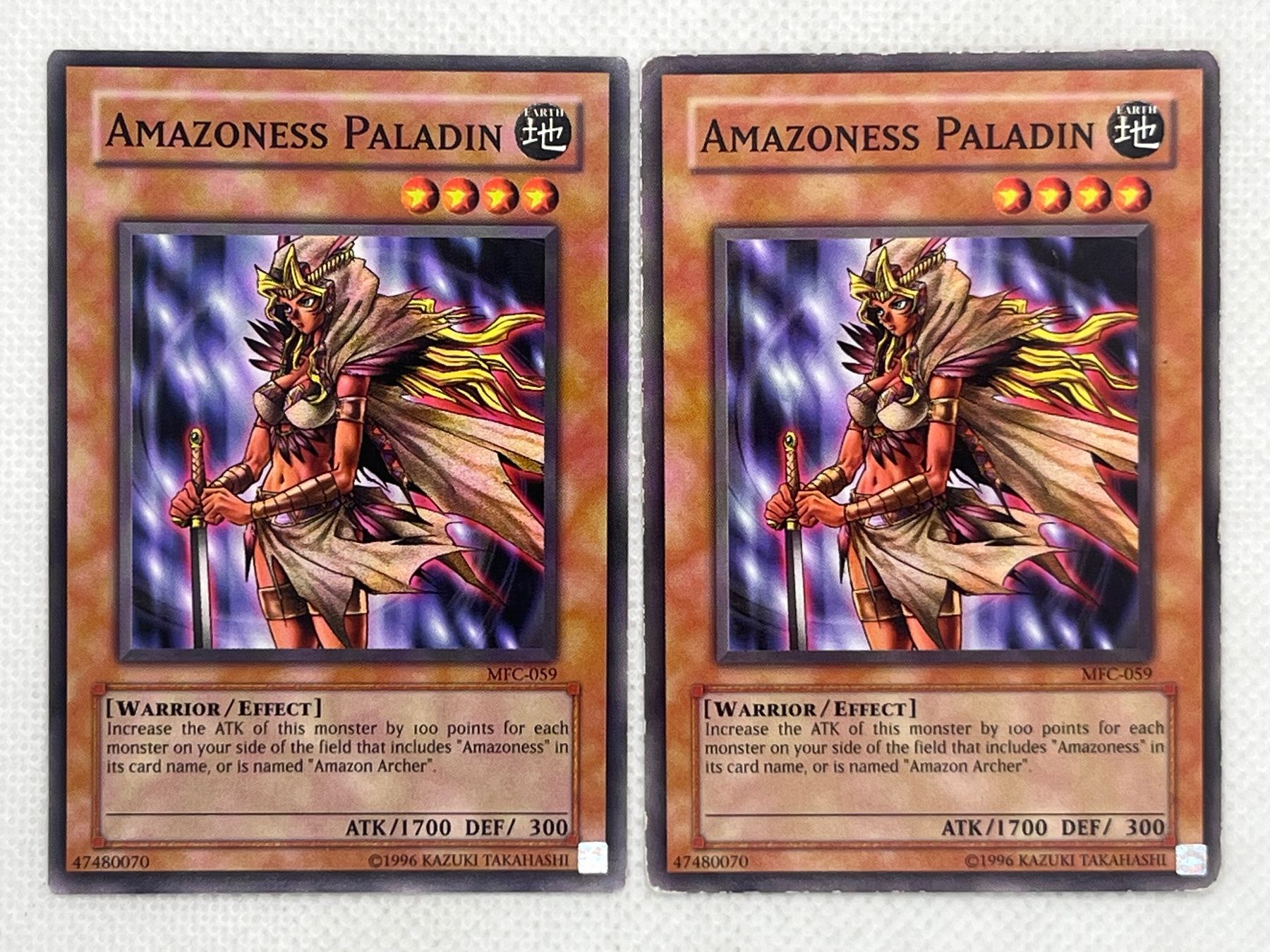 Yugioh Carte collezionabili: 2x Amazoness Paladin Karten (MFC-059) aus Konami Yu-Gi-Oh! – Usato da Hinterkappelen venduto da Kim1992