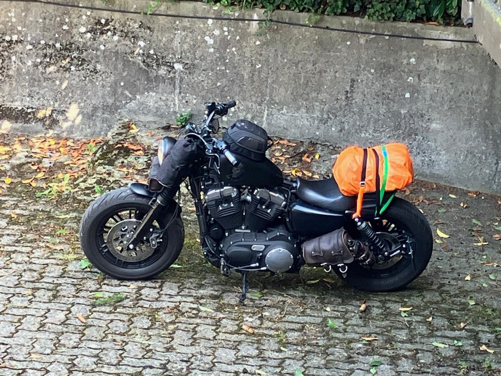 Sacs: La Rosa Satteltasche – D'occasion à Seengen par J470EYH 4