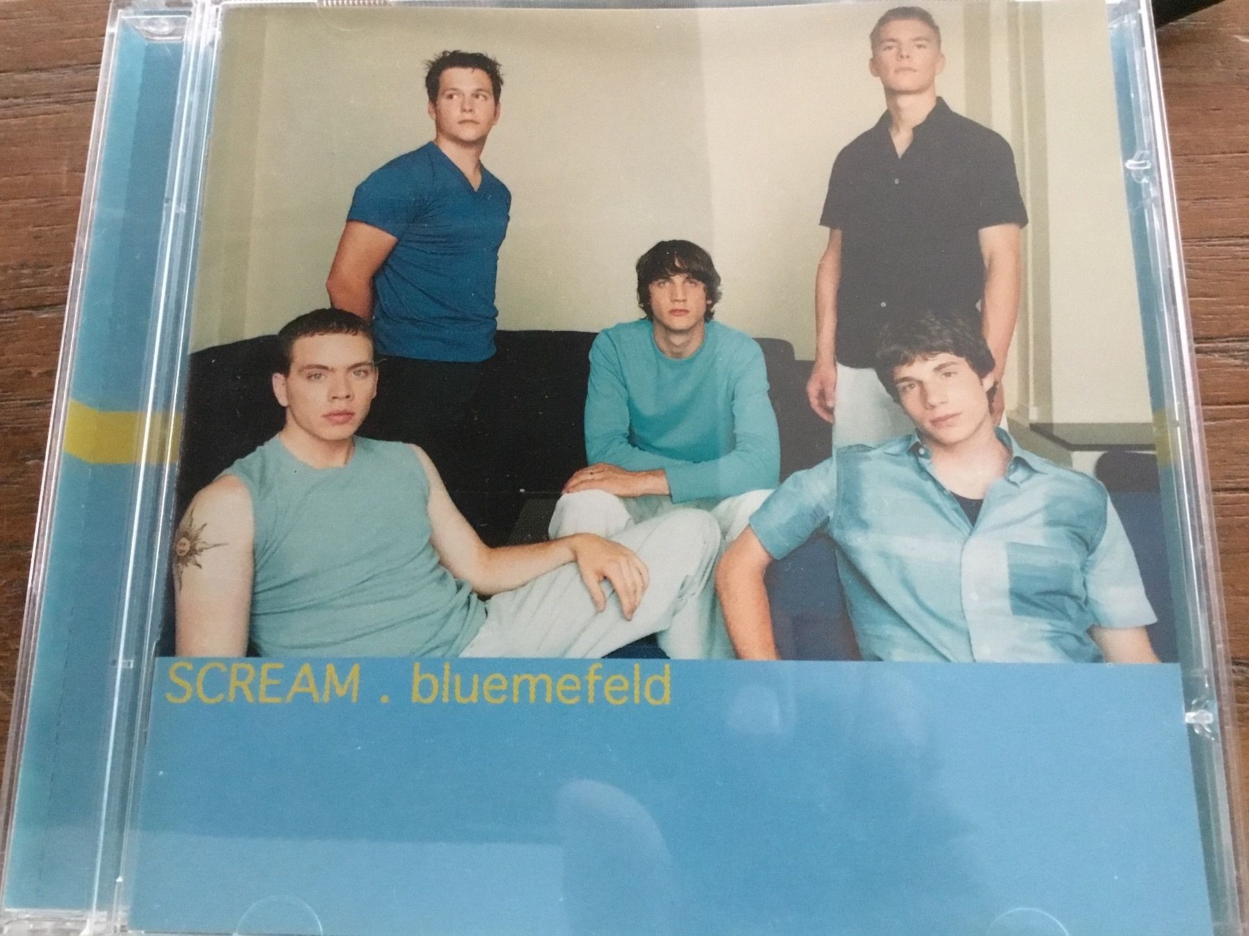 CD: Scream - bluemefeld – Usato da Thierachern venduto da sweden08