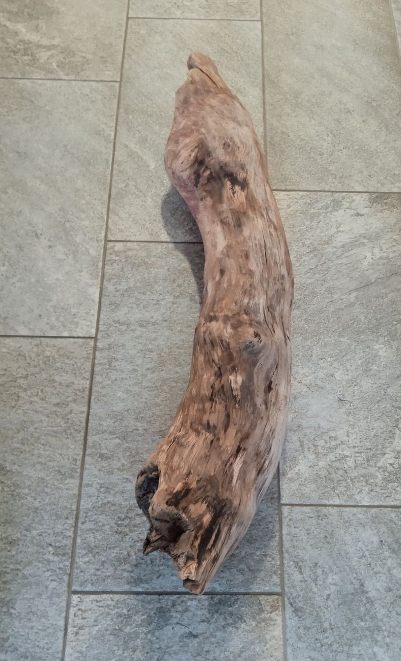 Articoli in legno: Schwemmholz – Nuovo e nell'imballaggio originale da Widnau venduto da ForViolin 1