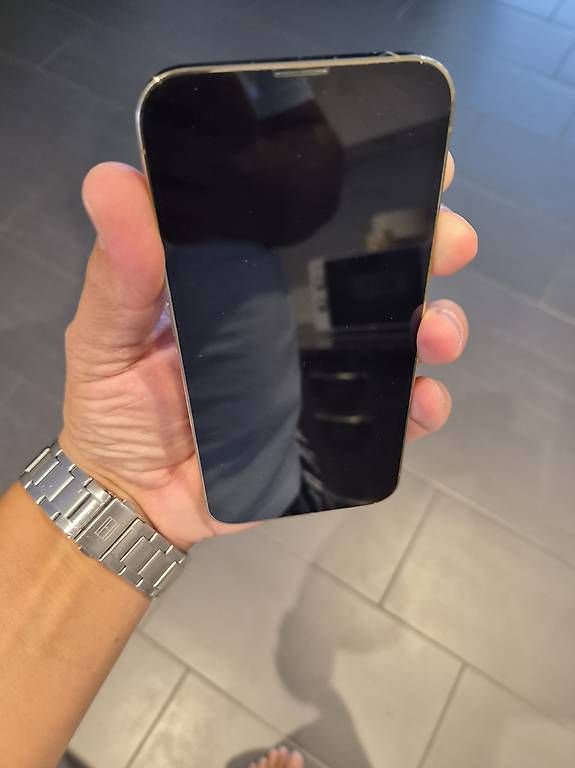 Apple Portables: Iphone 13pro – D'occasion à Sargans par Fejsal91 3