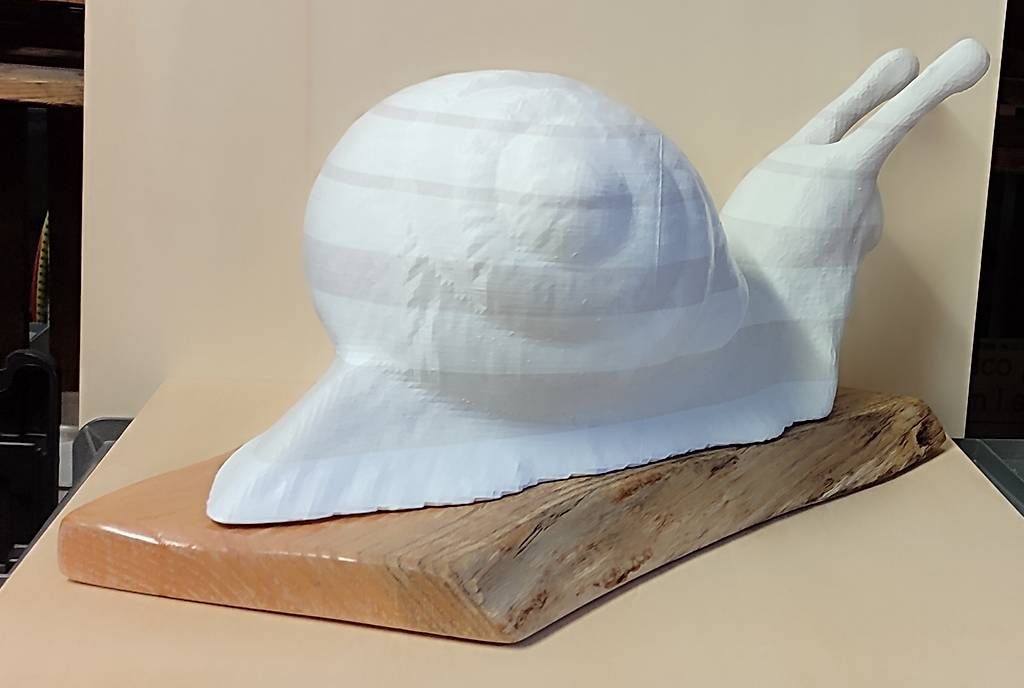 Foto & Immagini: Vendo lumaca stampata in 3D – Usato da Faido venduto da Fermo_77