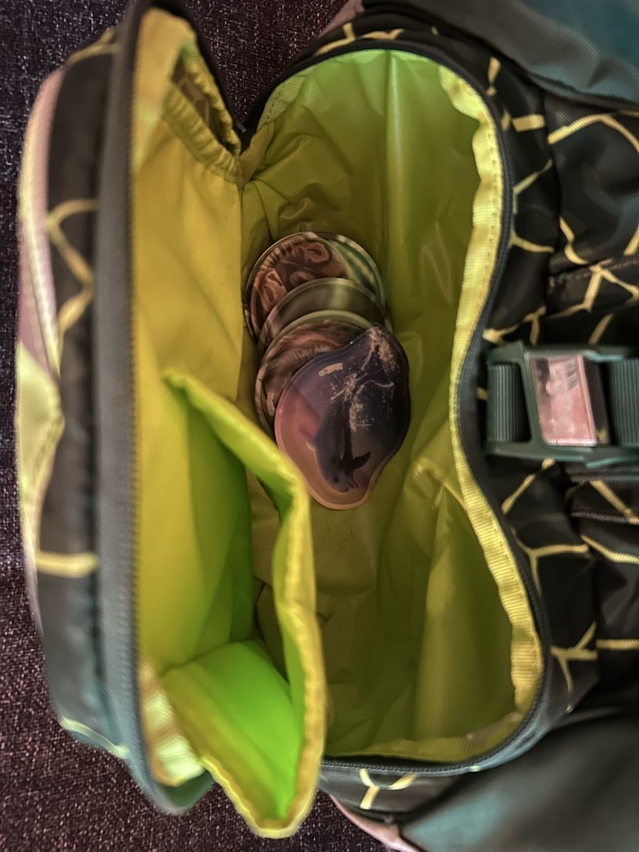 Ergobag Zaini: Ergobag Schul-Rucksack mit vielen Accessoires – Usato da Dietikon venduto da TdaC 4