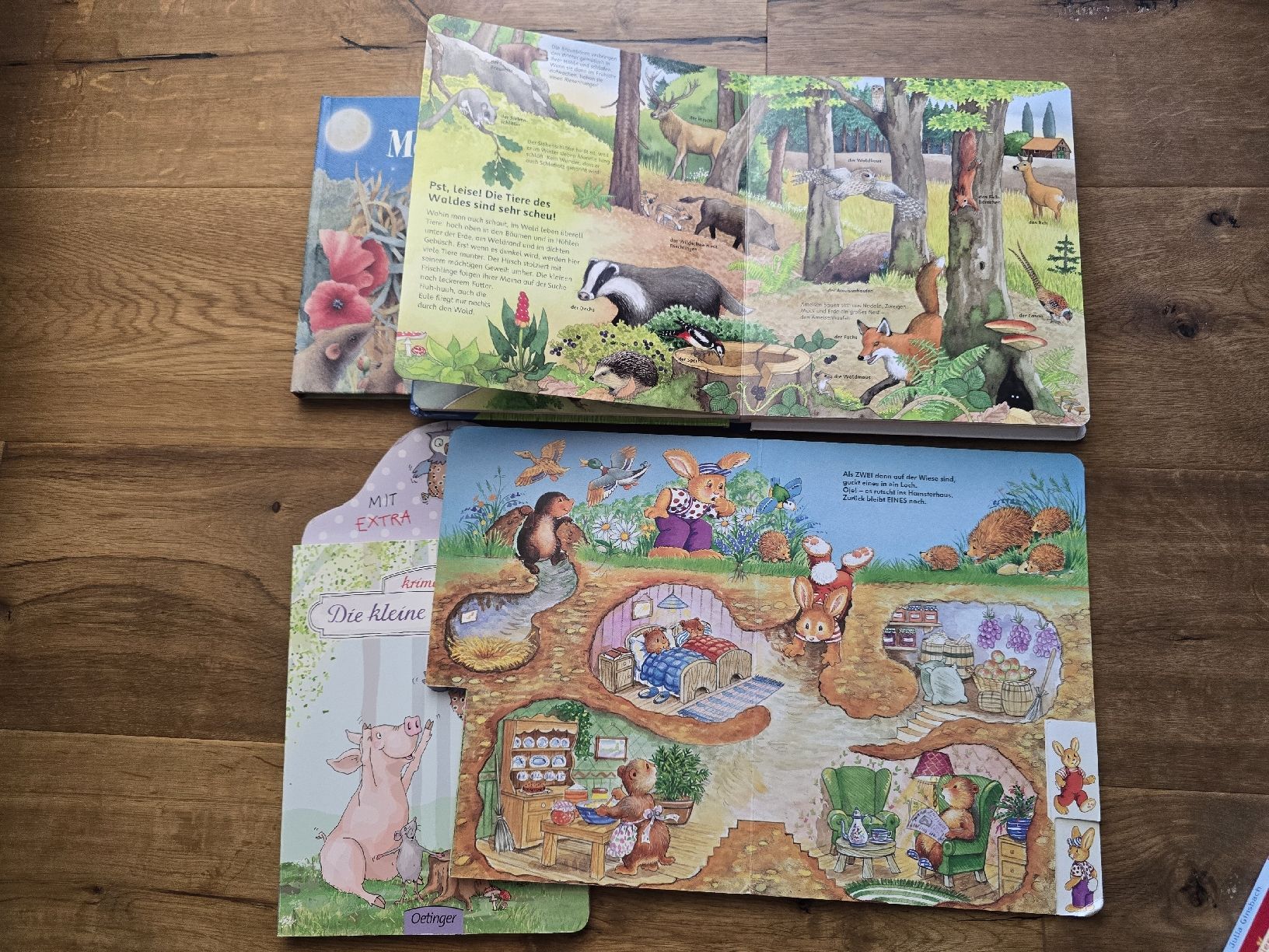 Libri: Kinderbuch Set 6 Stck set  guter Zustand – Usato da Wittenbach venduto da Tigerlili 4