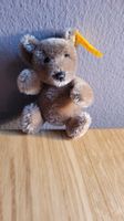 Süsser Steiff Teddybär mit Knopf im Ohr für Sammler