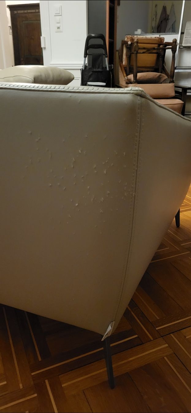 Divani: designer sofa alivar – Usato da Basel venduto da topthings 7