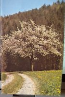 Alte Karte "Frühling im Wald"