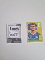 Panini Sticker BIH19