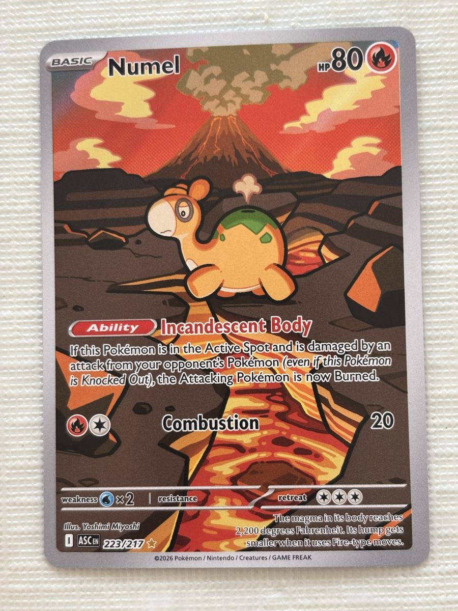 Pokémon Carte collezionabili: Carte Pokémon NUMEL asc 223 – Nuovo (secondo la descrizione) da lausanne venduto da helderj