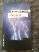 Buch Pflugstein