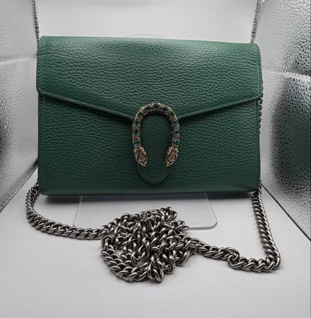 Gucci Dionysis🐍