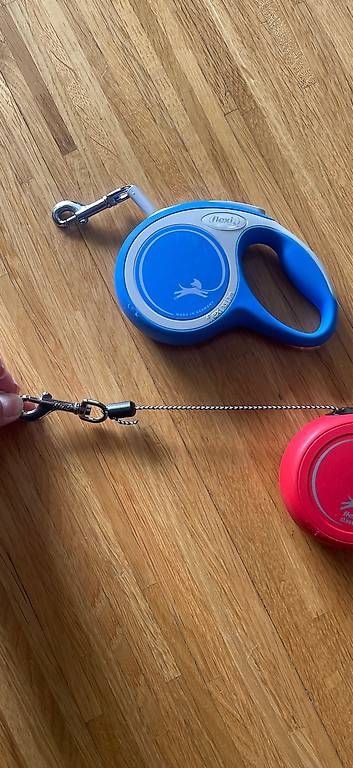 Guinzagli & Collari: Hund Leine Flexi XS  – Usato da Uetikon am See venduto da boby69 1