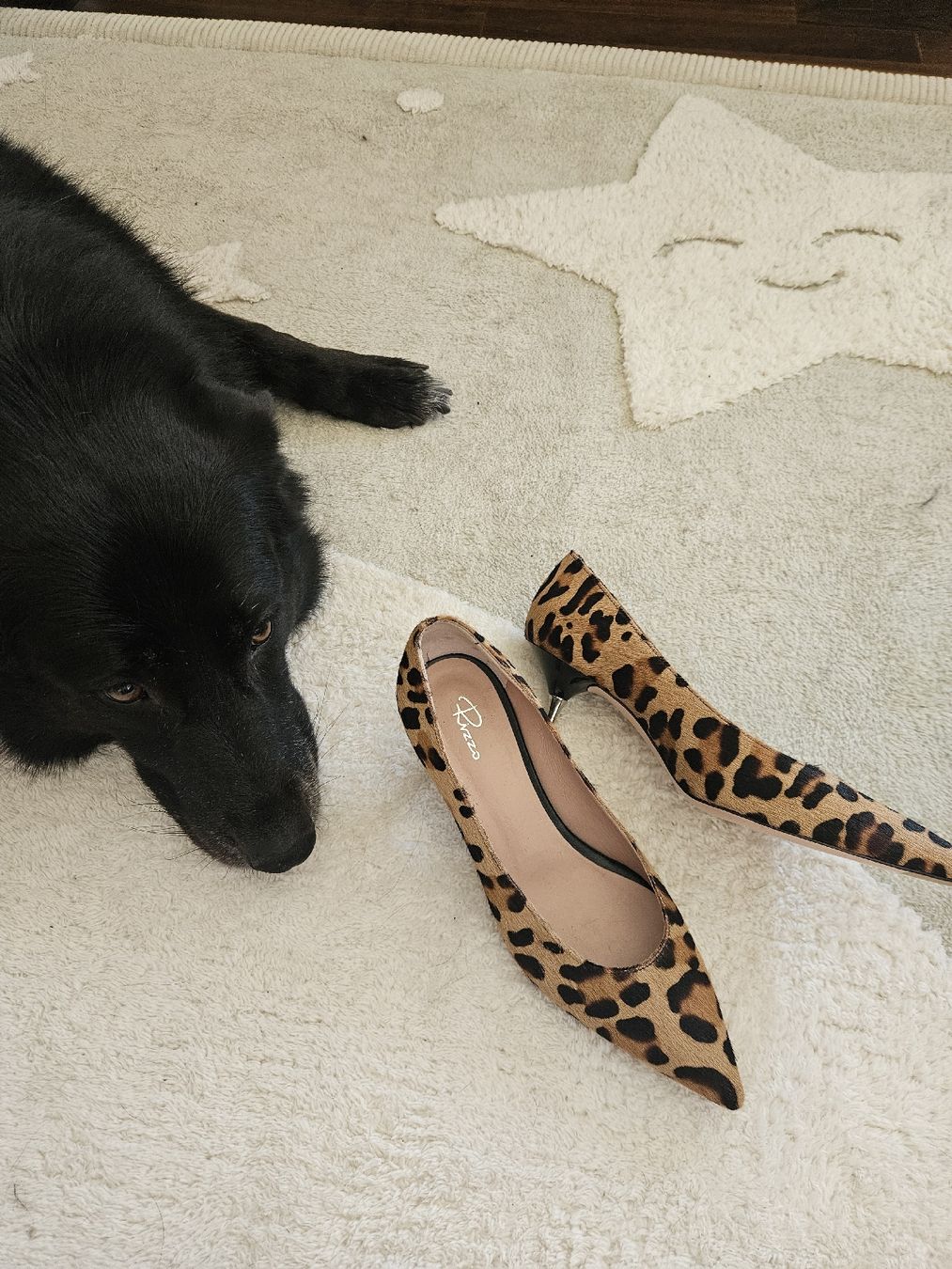 Scarpe da donna: Animal leopard Print Leather heels – Nuovo (secondo la descrizione) da Affoltern am Albis venduto da Katarinushka