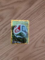 Panini Bild FWC 5
