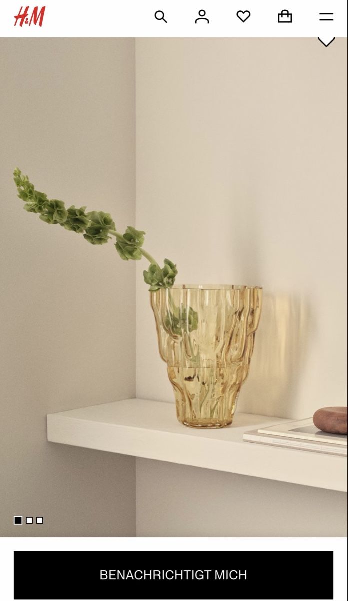 H&M Vasi & Recipienti: H&M flower vase – Nuovo e nell'imballaggio originale da Corsier GE venduto da Karol_save_planet 2