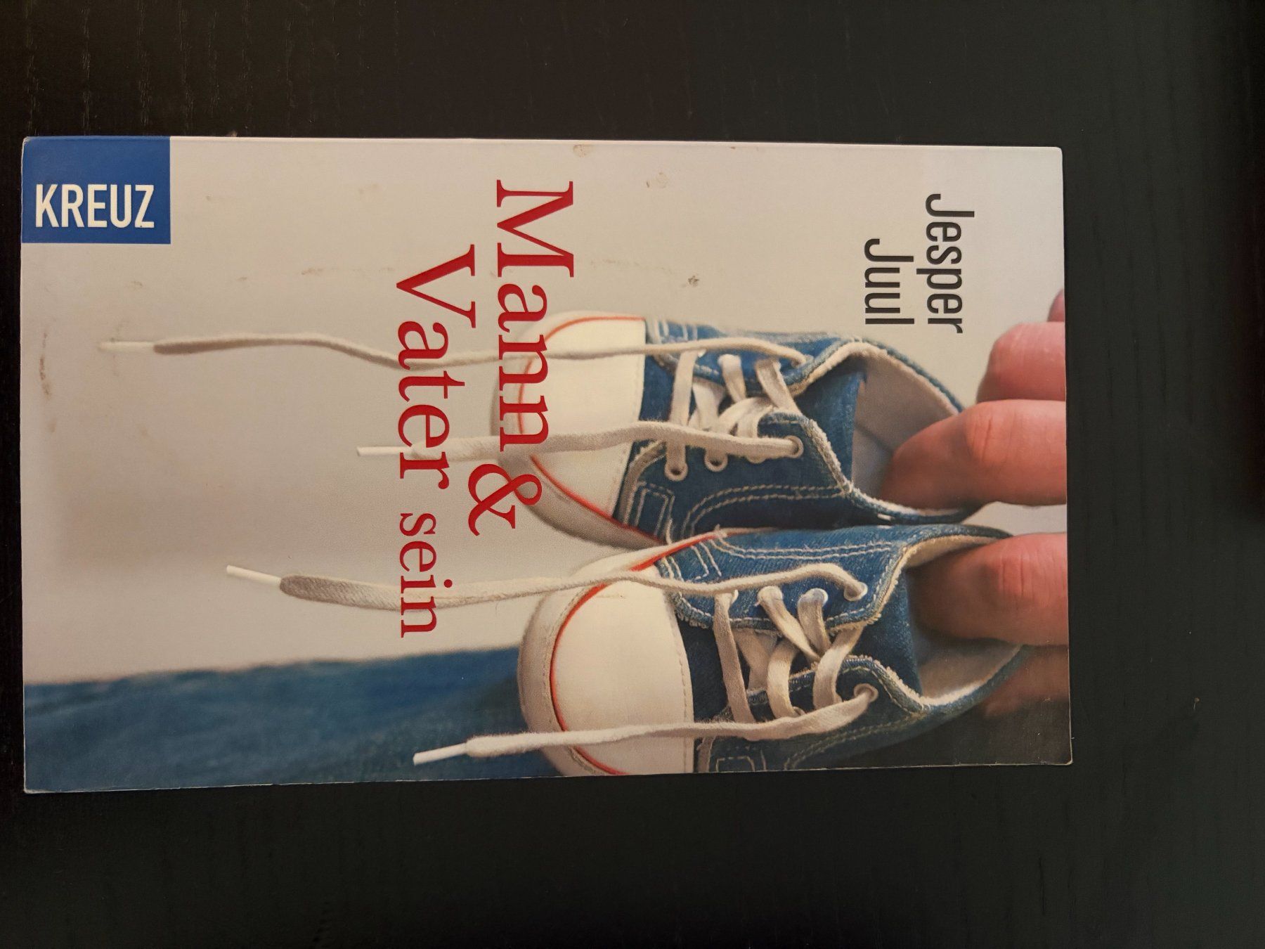 Libri: Diverse Ratgeber Papa werden – Usato da Chur venduto da psn_vq5l 6