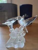 Swarovski Zierglasfigur Kolibri