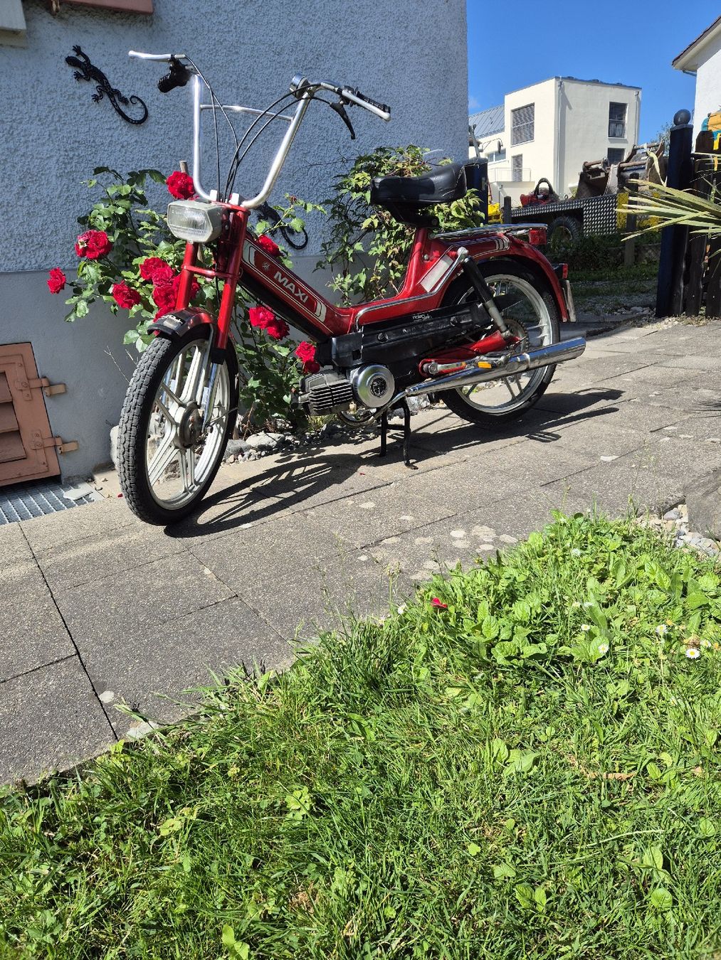 Puch Mofas: Puch Maxi    mit Ausweis u.Nummer – Gebraucht aus kloten von eismeister33