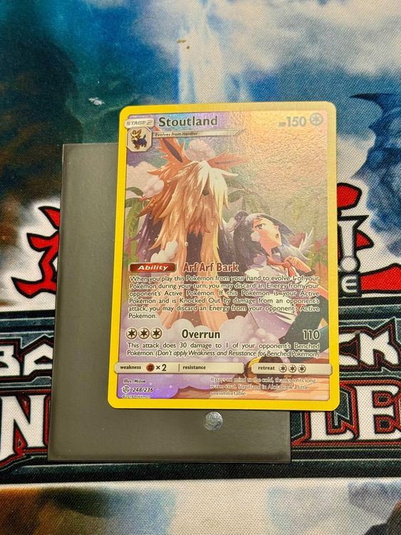 Pokémon / Stoutland / CEC 248 / Illustration Rare / NM / EG (Gebraucht ...
