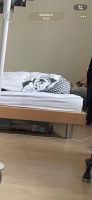 Bettgestell mit Lattenrost und Matratze 140cm