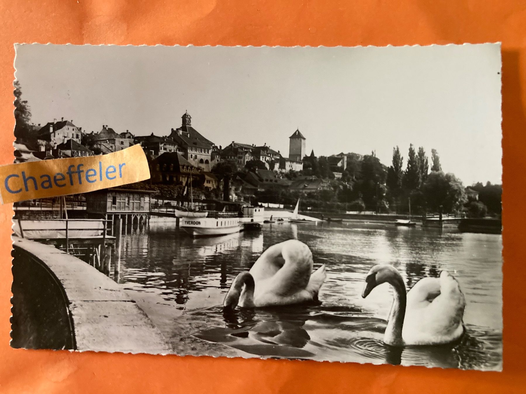 Cartoline postali: 1959 Murten - Morat.  7531 – Usato da Zürich venduto da Chaeffeler