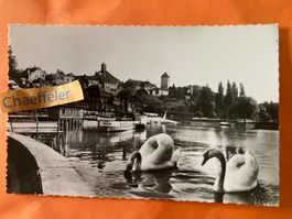 1959 Murten - Morat.  7531