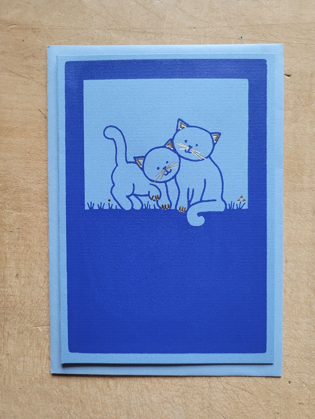 Cartoline: 5 hübsche Karten "Katzen" + Couverts, Papeterie – Nuovo (secondo la descrizione) da Zürich venduto da Engiadinabassa 3