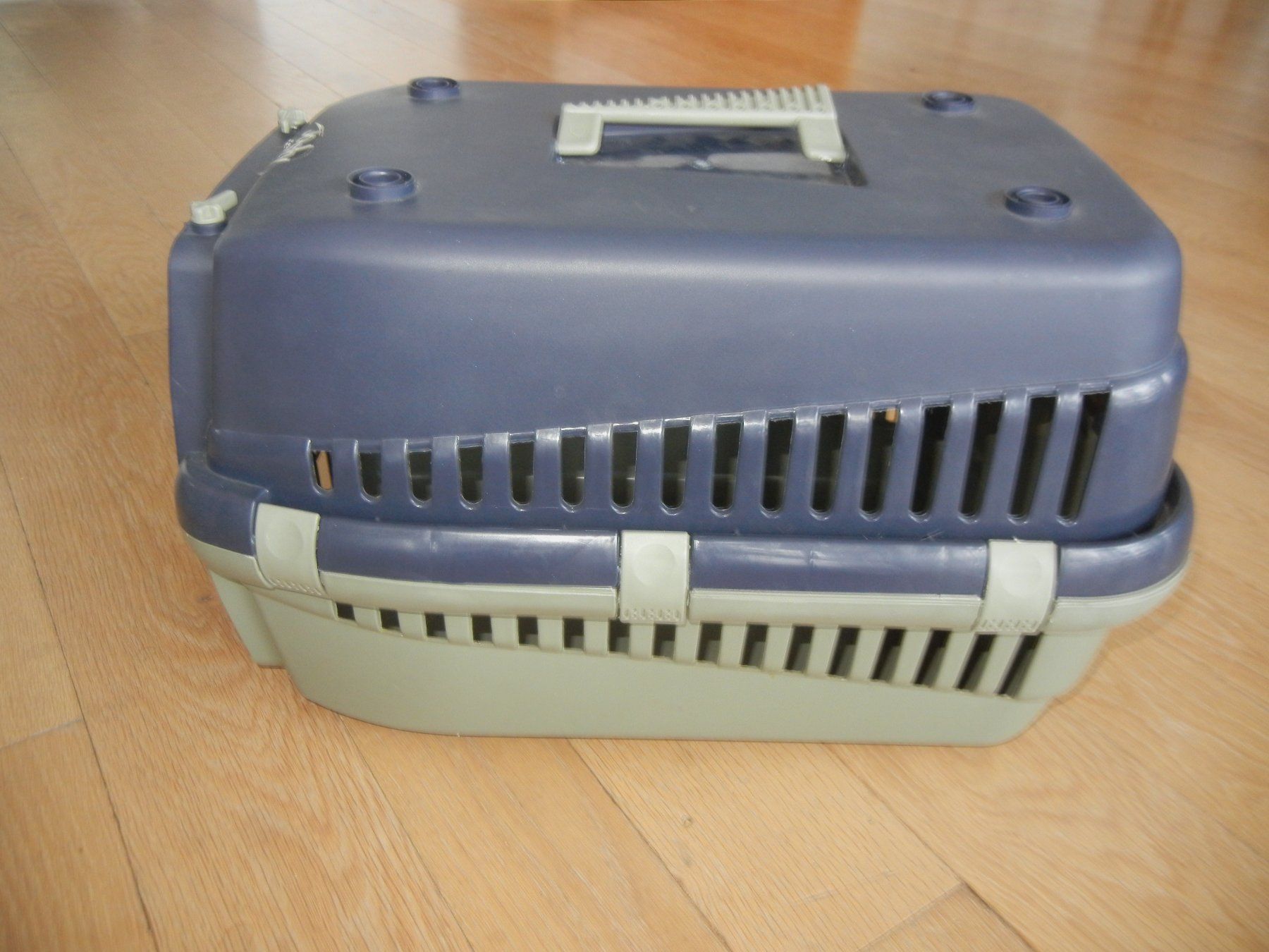 Gabbie, trasporto & Sicurezza: Transportbox für Katzen – Usato da Langendorf venduto da sonntag10 1